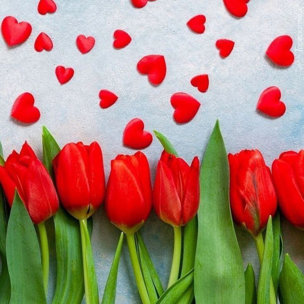 НИИ кардиологии Томского НИМЦ